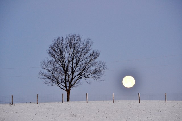 Image of Winter Moon by Bruce Nadorff from Springfield